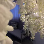 Maison Ferba 3*